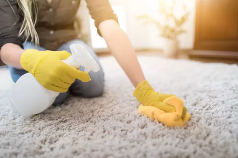 Remove carpet mildew musty smells