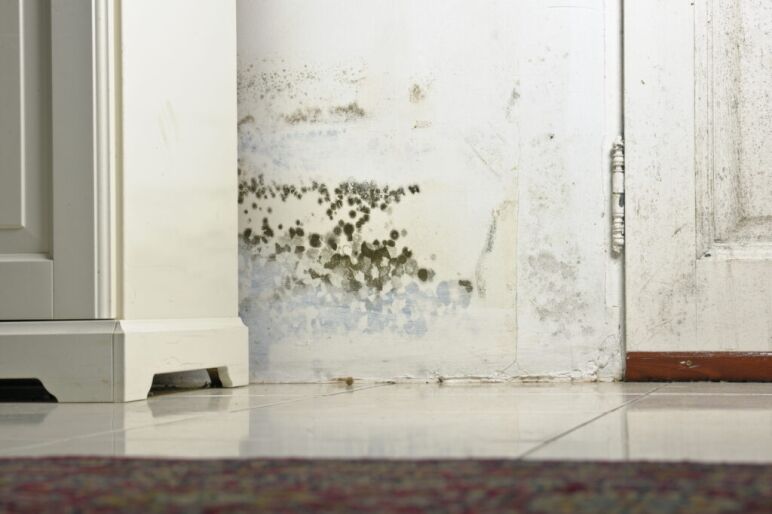 Mould stains on damp wall and door behind cabinet