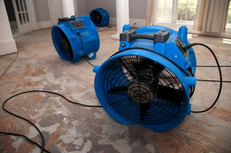 Sewage flood home restoration