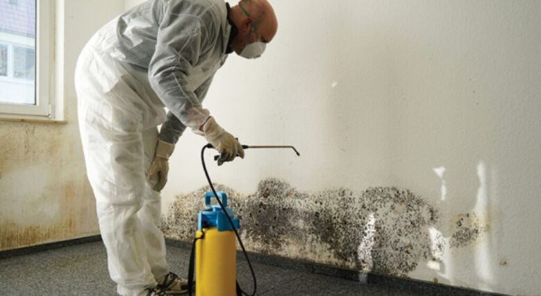 MOULD REMEDIATION