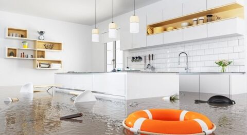 Essential Steps for Efficient Water Damage Cleanup